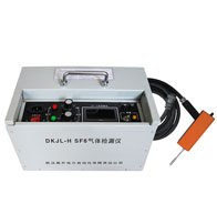 SF6���嶨����©��